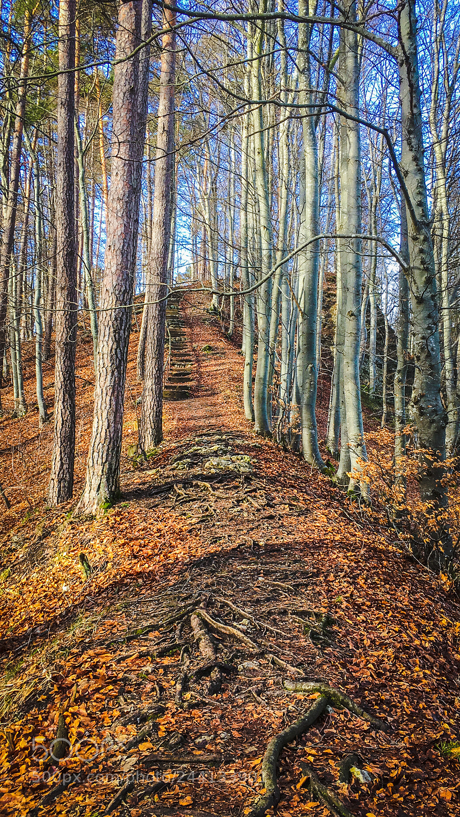 Apple iPhone SE sample photo. Traufgang albstadt photography