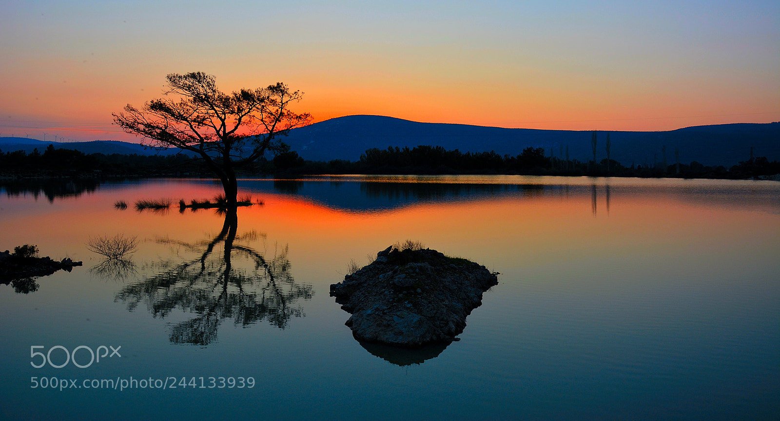Nikon D7100 sample photo. Tree-sunset photography