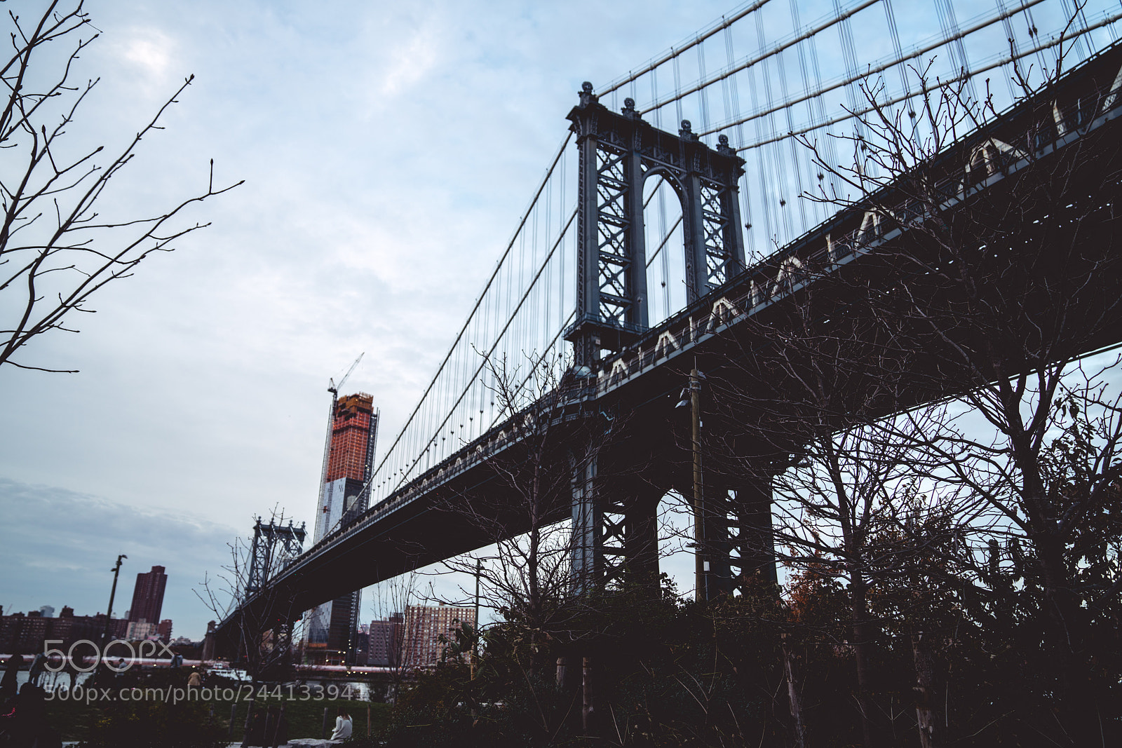 Sony a7R II sample photo. Untitled photography
