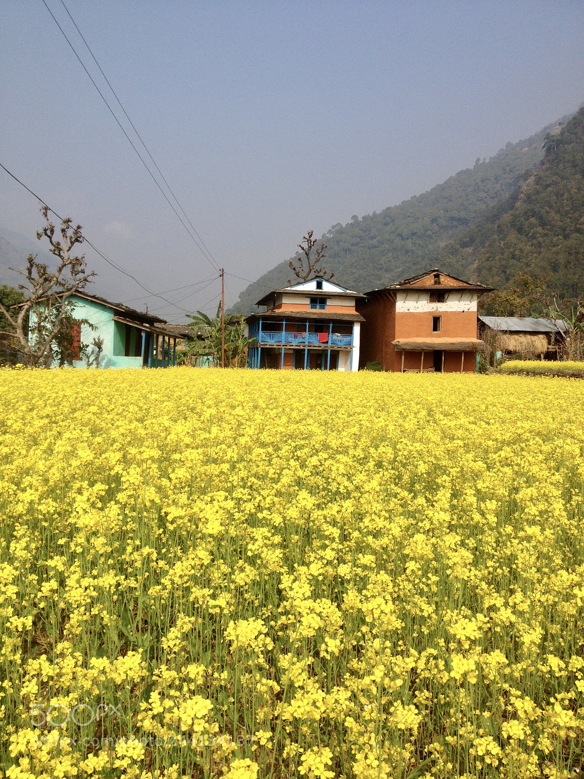 Apple iPhone 4S sample photo. Home again photography