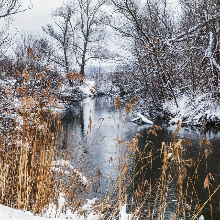 Canon EOS 60D sample photo. The winter's tale photography