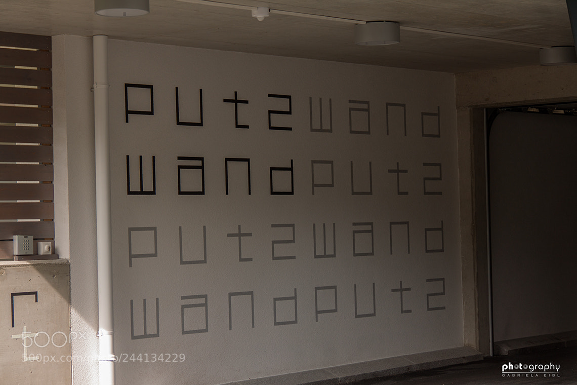 Canon EOS 500D (EOS Rebel T1i / EOS Kiss X3) sample photo. Wall photography