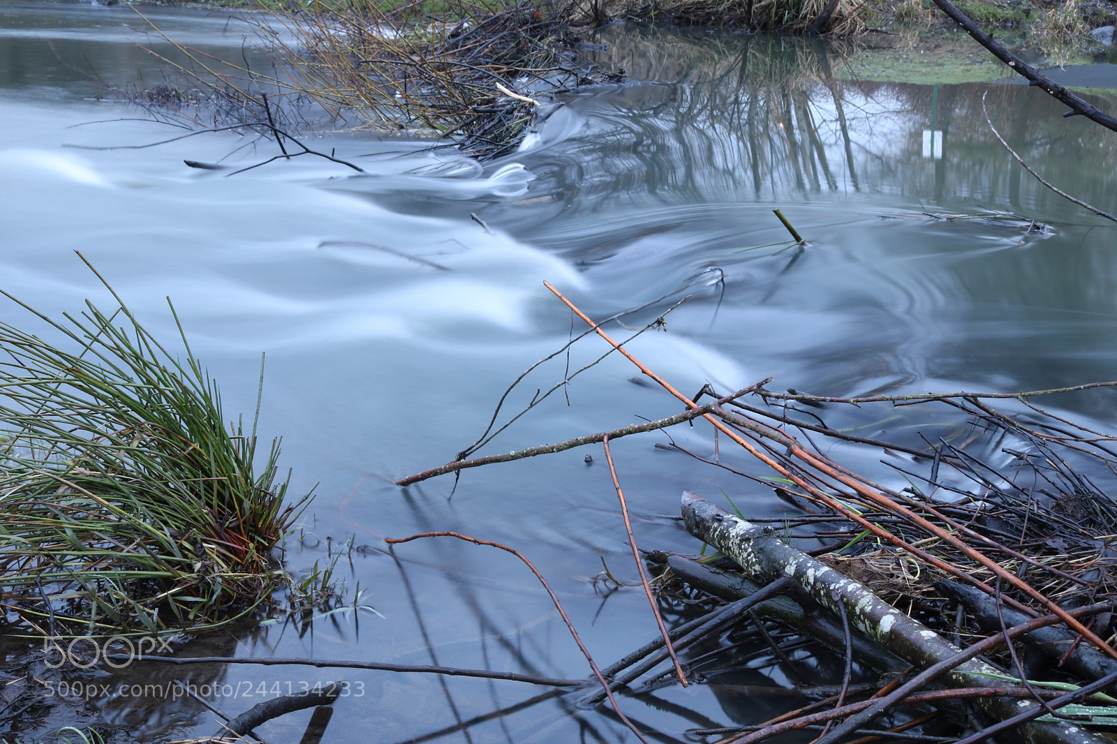 Canon EOS 750D (EOS Rebel T6i / EOS Kiss X8i) sample photo. Soft beaverton creek photography