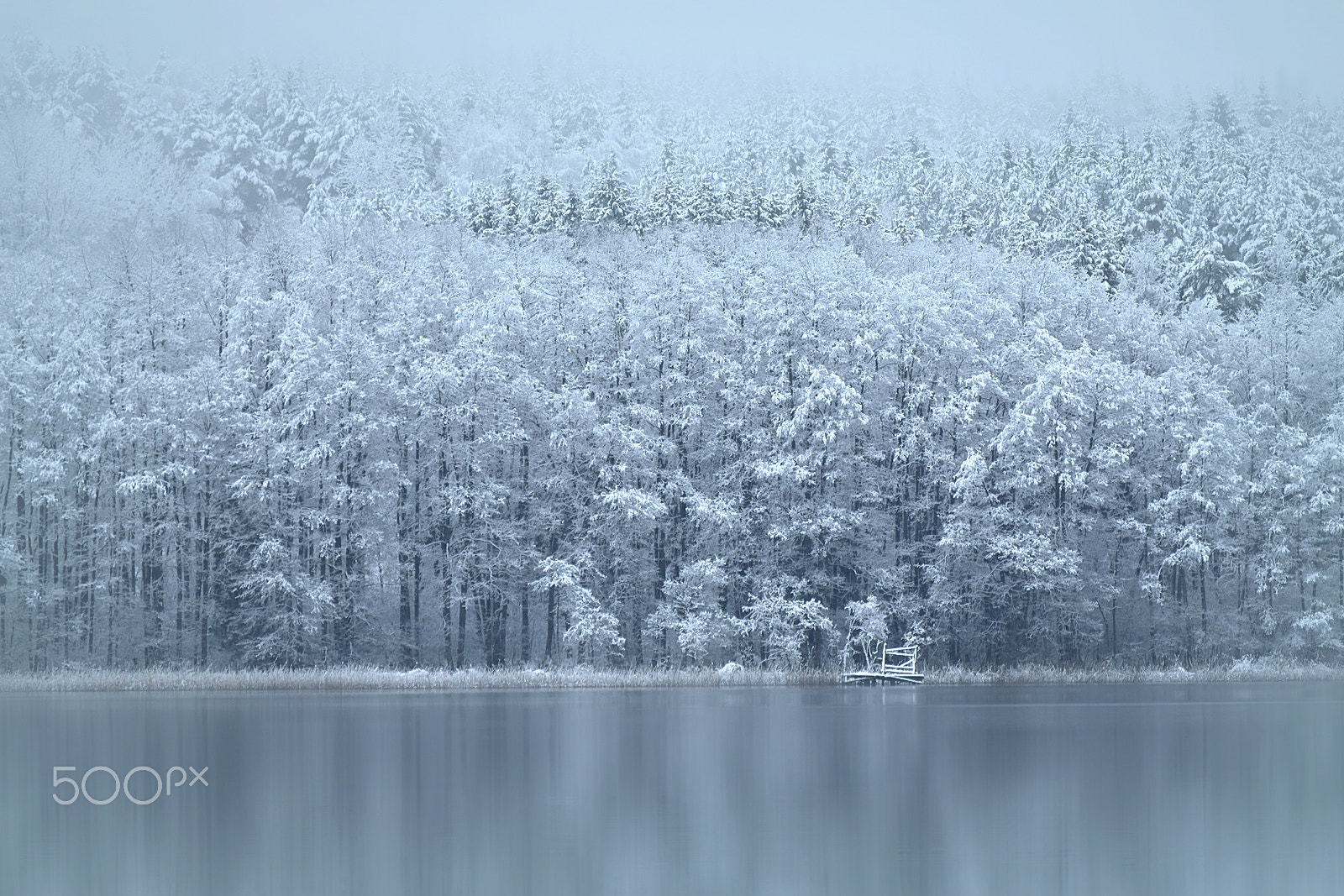 Nikon D3400 sample photo. Winter wonderland photography
