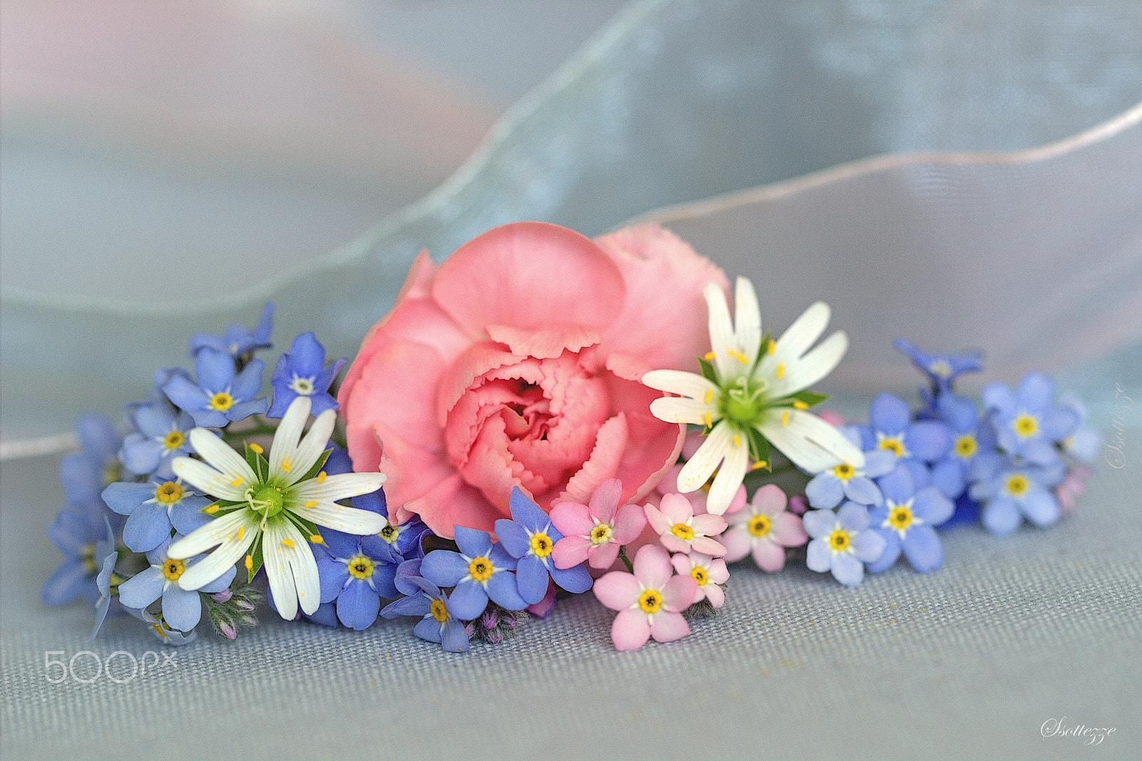Canon EF 100mm F2.8L Macro IS USM sample photo. Dream about spring photography