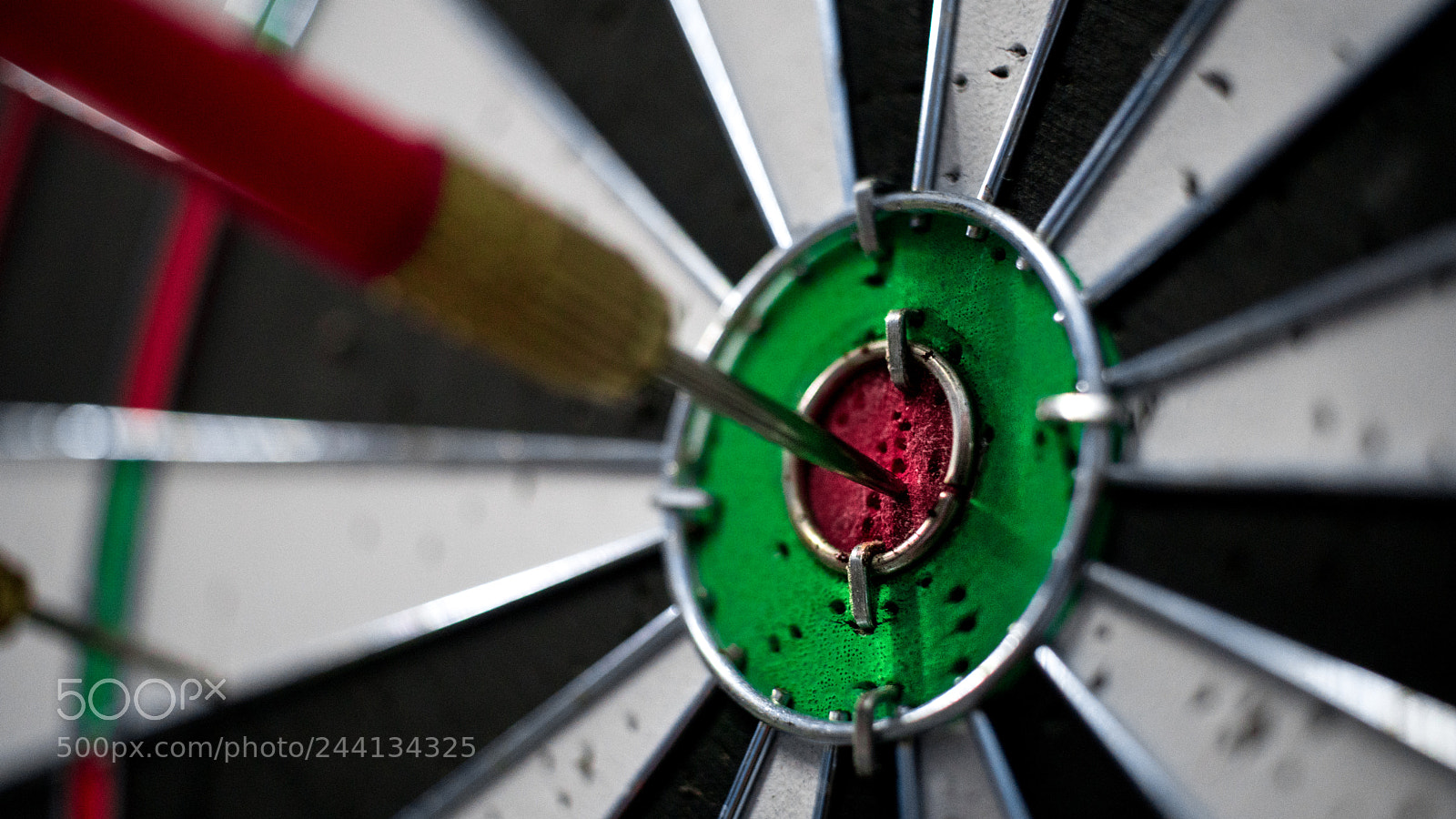 Sony a6300 sample photo. Bullseye photography