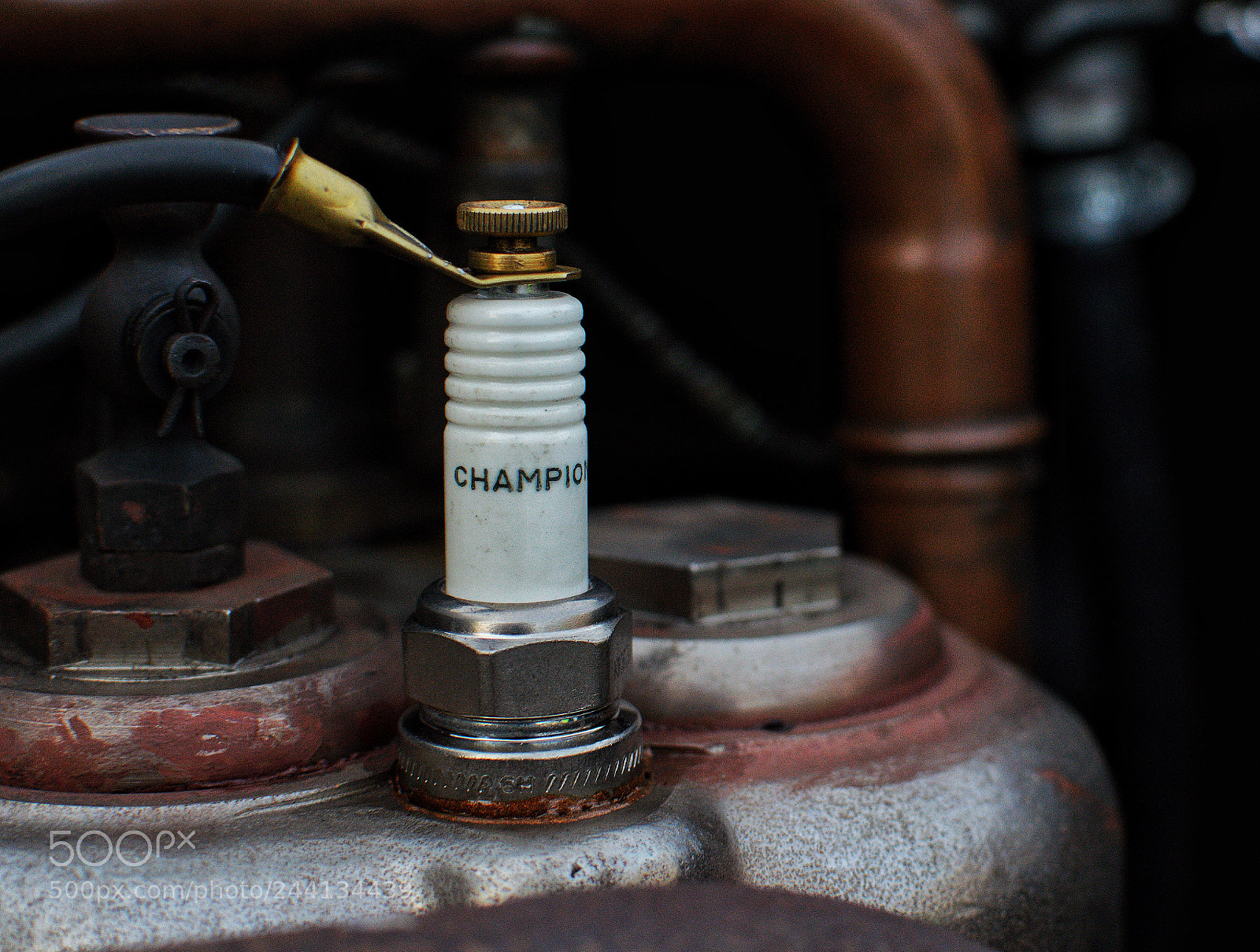 Nikon D3200 sample photo. Thats's champion photography