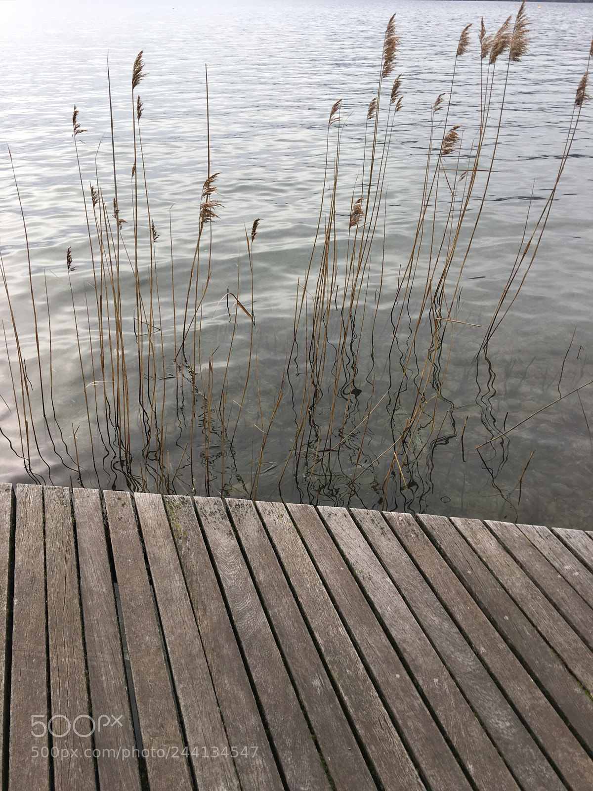 Apple iPhone 6s Plus sample photo. Ponton à veyrier photography