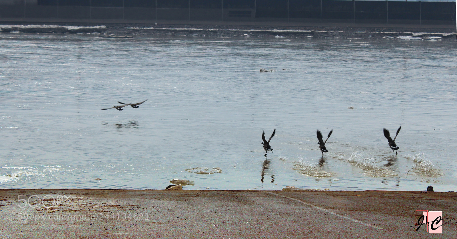 Canon EOS 1300D (EOS Rebel T6 / EOS Kiss X80) sample photo. Foggy river photography
