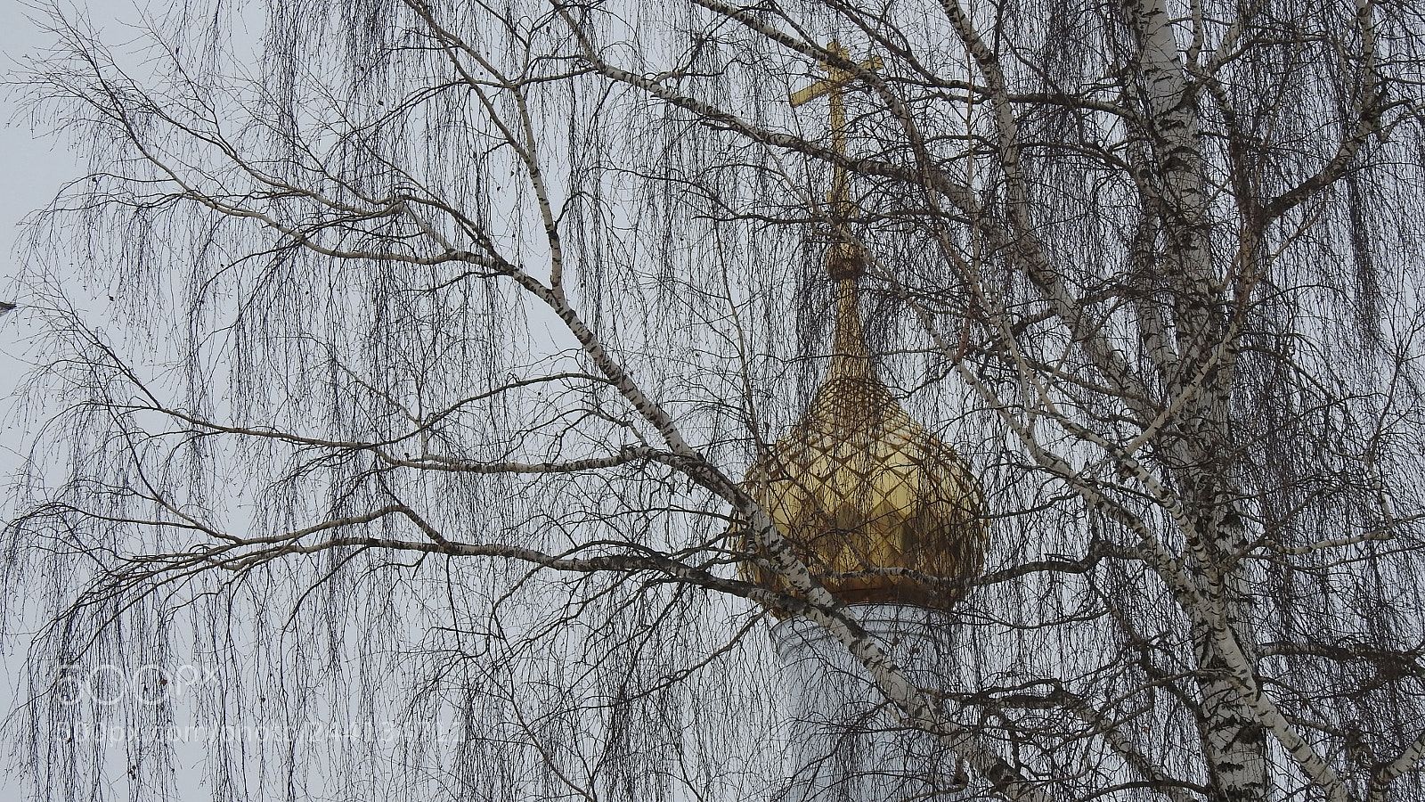 Nikon Coolpix P900 sample photo. Winter transparency photography