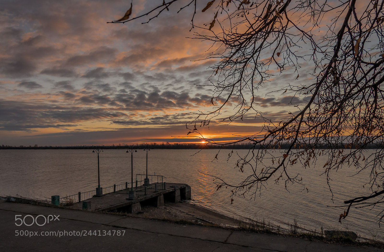 Nikon D5500 sample photo. Autumn twilight photography