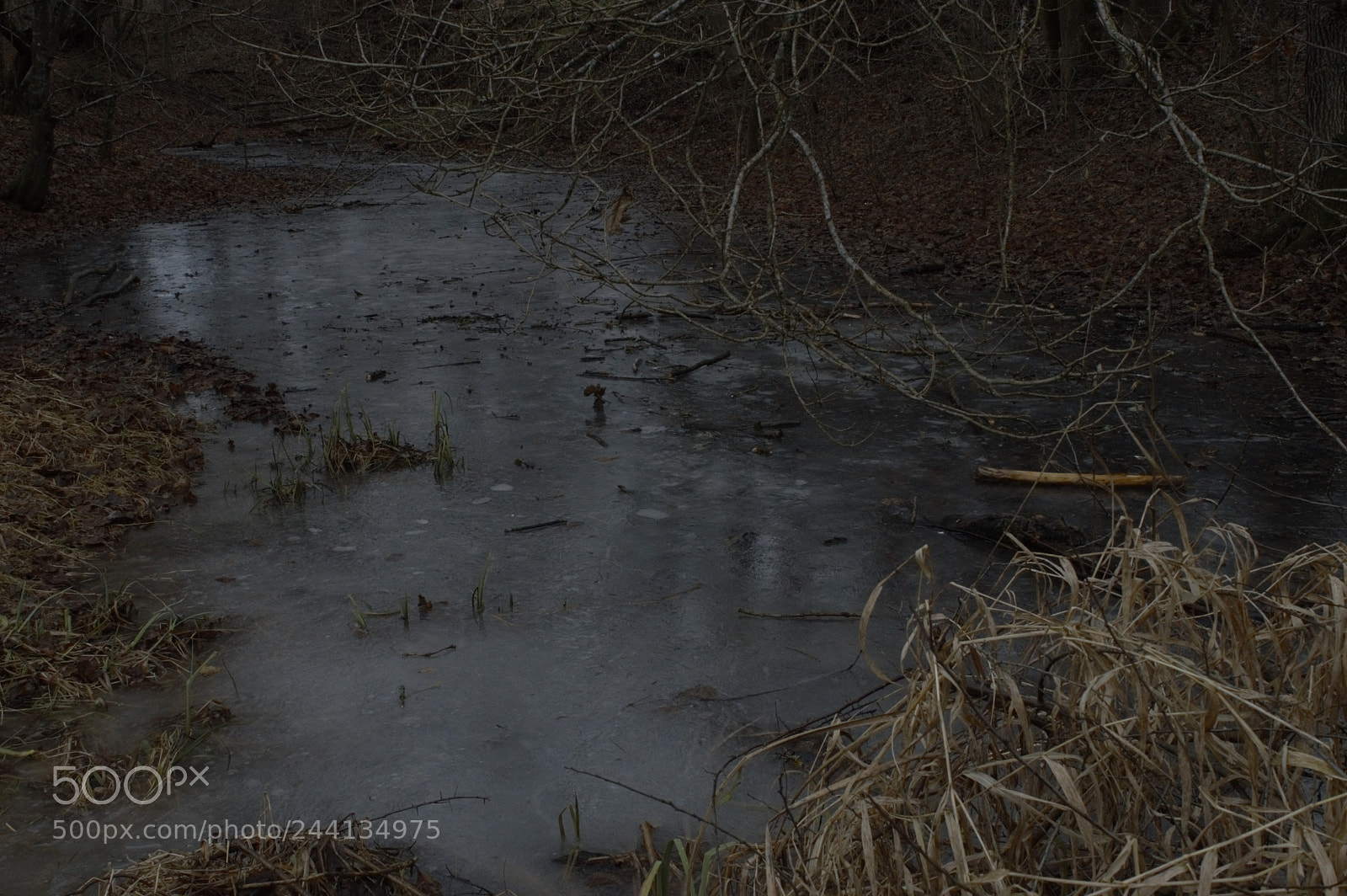 Nikon D3200 sample photo. Frozen river photography