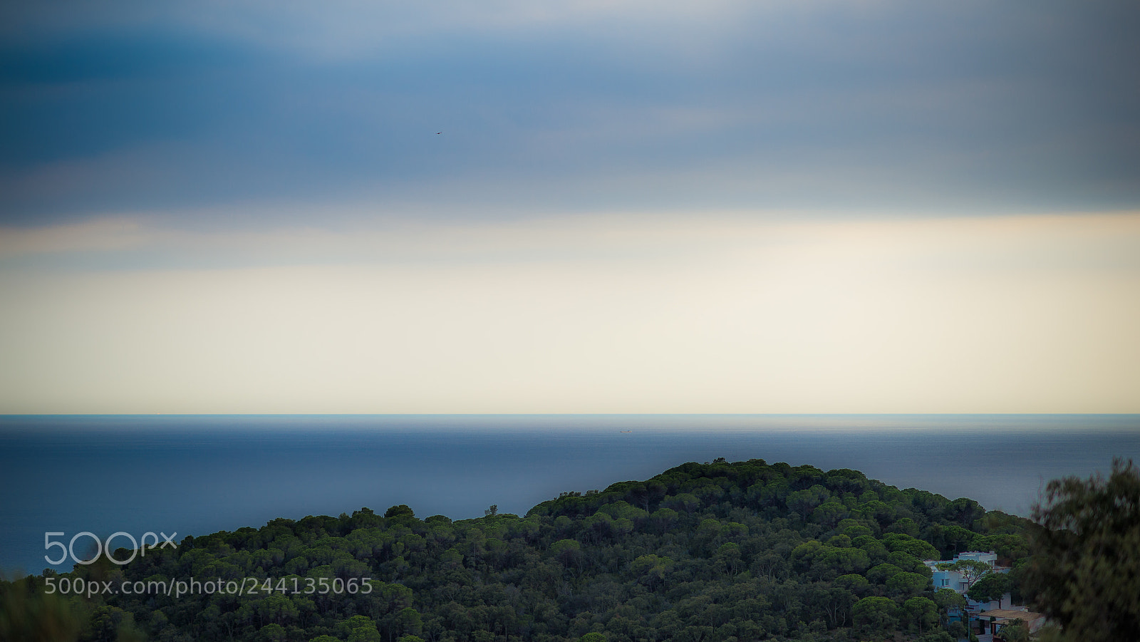 Nikon Df sample photo. [nikon,spain,2014]-2.jpg photography