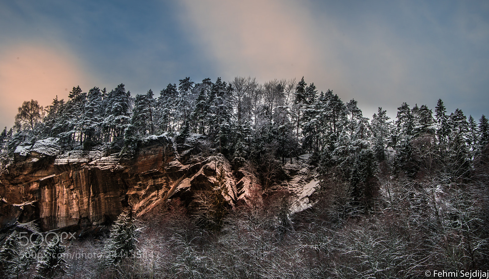 Nikon D610 sample photo. Untitled photography
