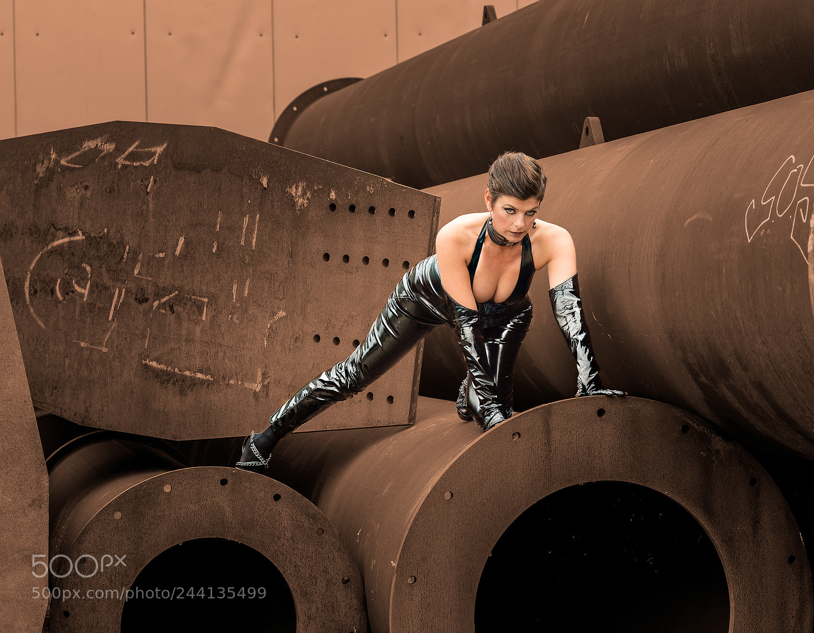 Nikon D800 sample photo. Lady sheila is coming photography