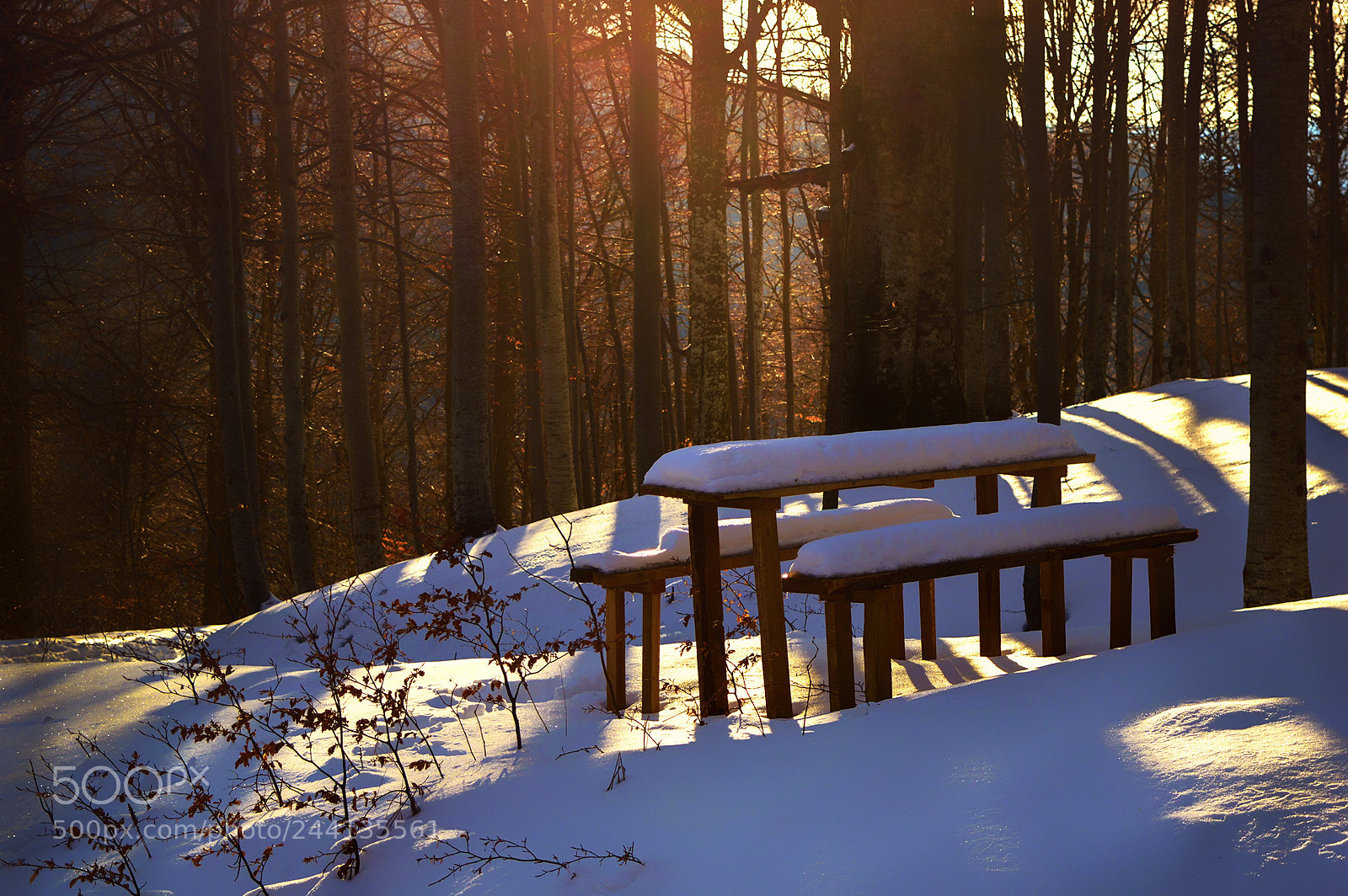 Nikon D3200 sample photo. Winter photography