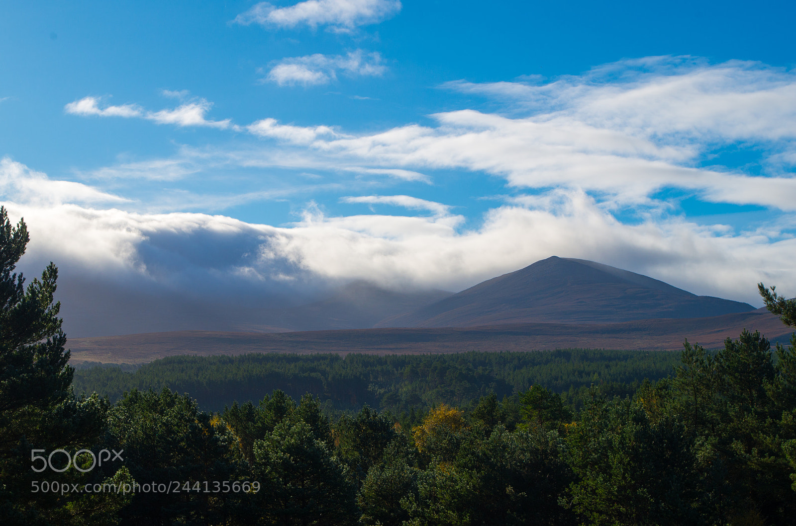 Pentax K-30 sample photo. Cairngorms national park photography