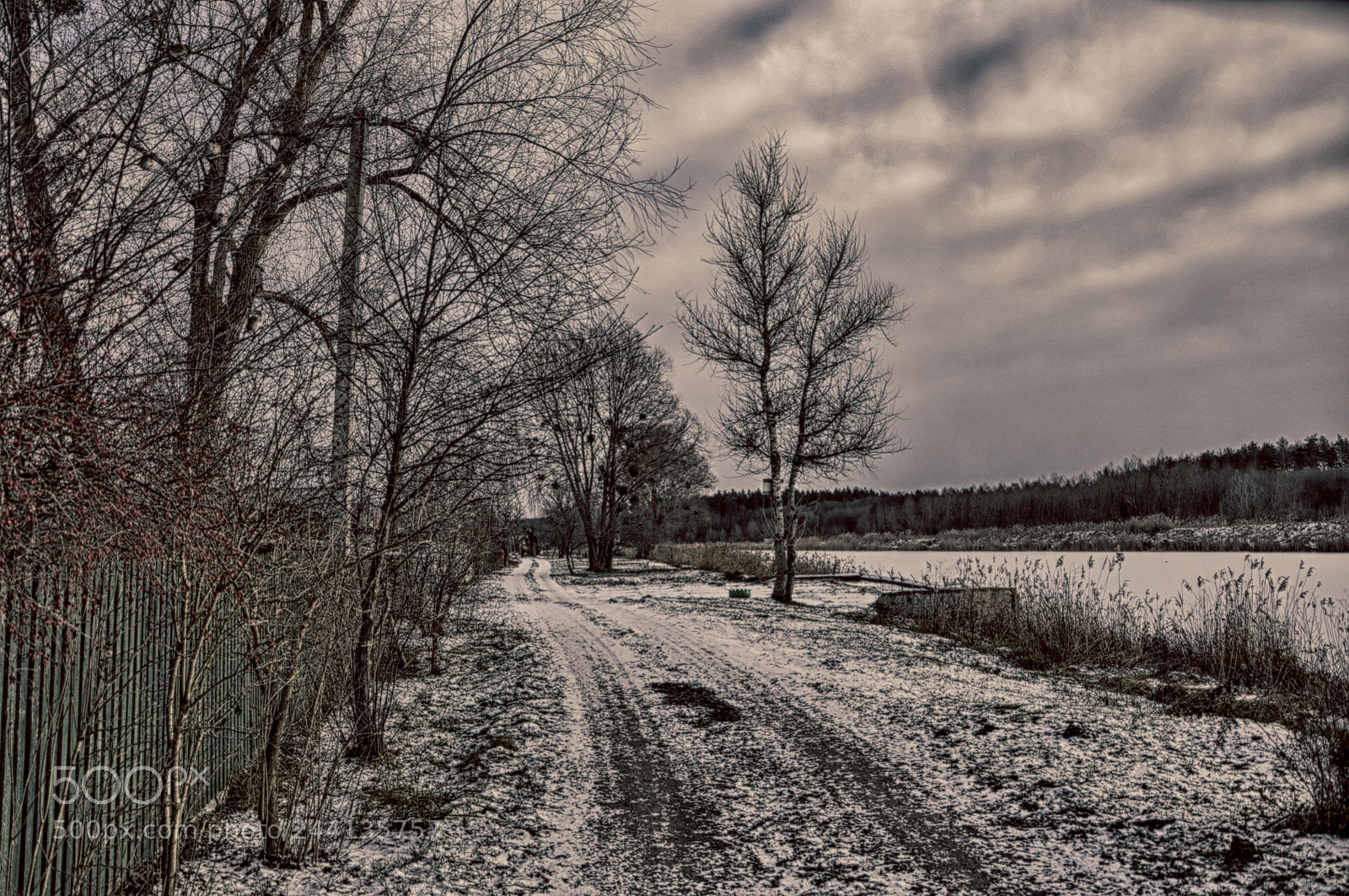 Nikon D90 sample photo. Winter road (decay) photography