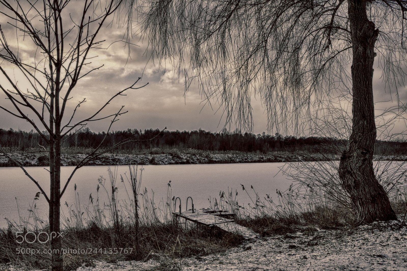 Nikon D90 sample photo. Winter lake (decay) photography
