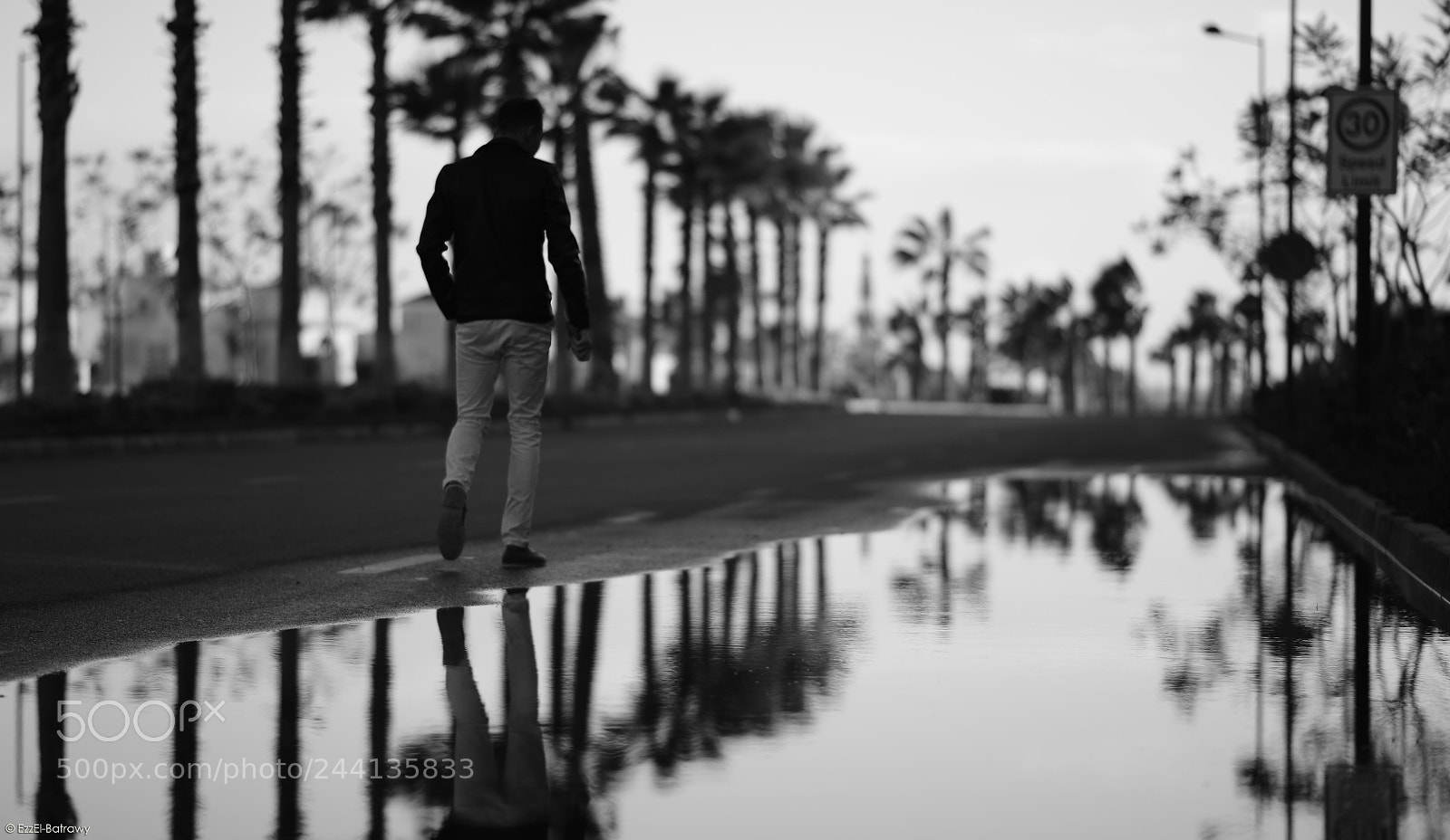 Nikon D610 sample photo. Omar el-sayed photography