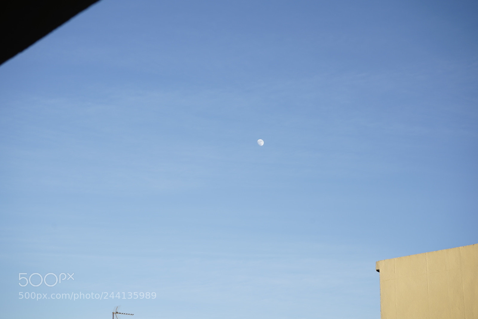 Sony a7 sample photo. Afternoon moon photography