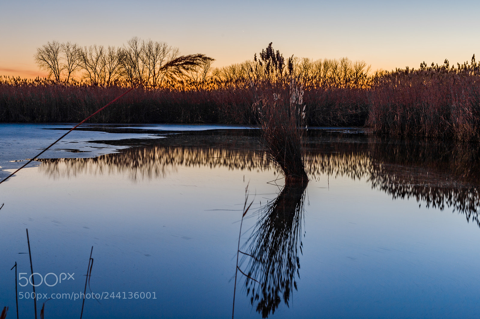 Nikon Df sample photo. Blue hour photography