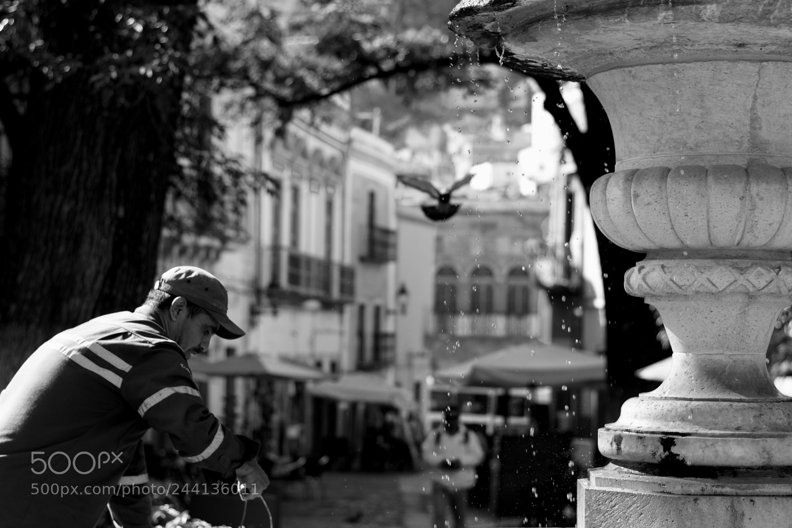 Nikon D7100 sample photo. Lively moment photography