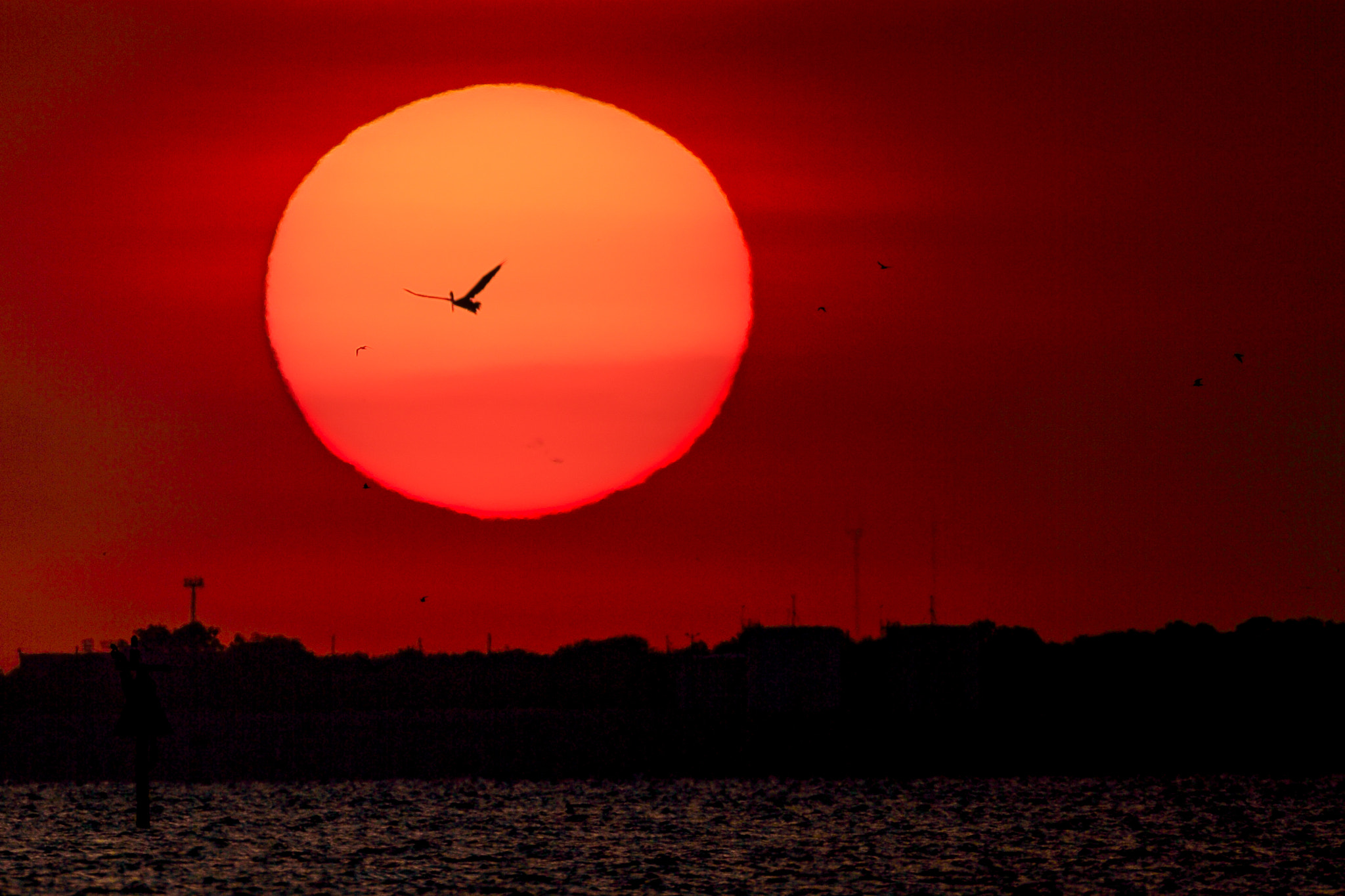 Canon EOS-1D C sample photo. Texas city sunset photography