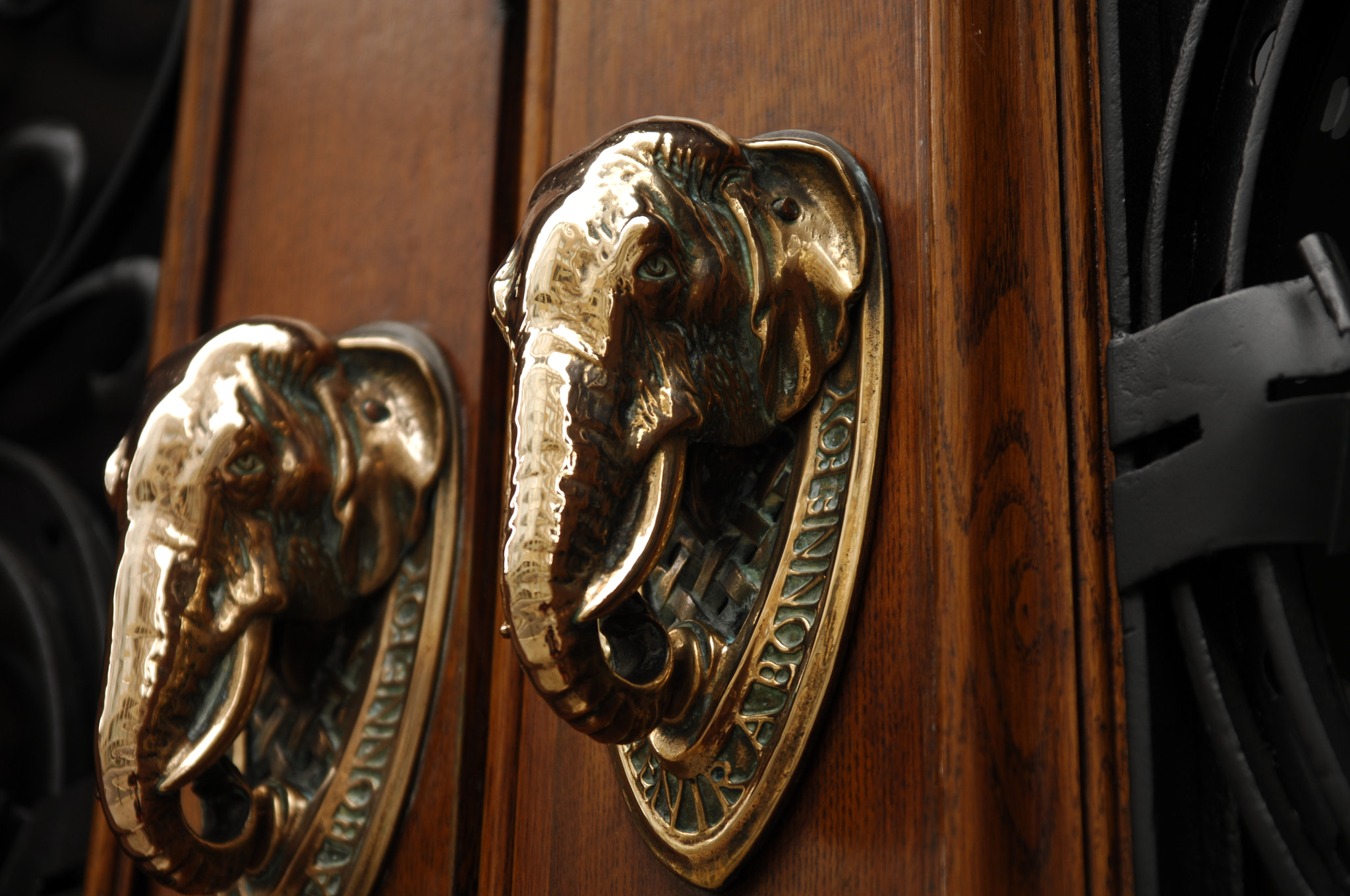 Nikon D2X sample photo. Elephant door knockers photography