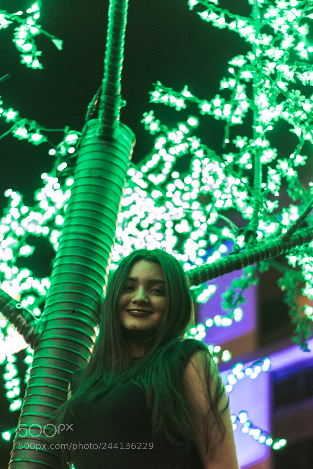 Canon EOS 800D (EOS Rebel T7i / EOS Kiss X9i) sample photo. Luces ! photography