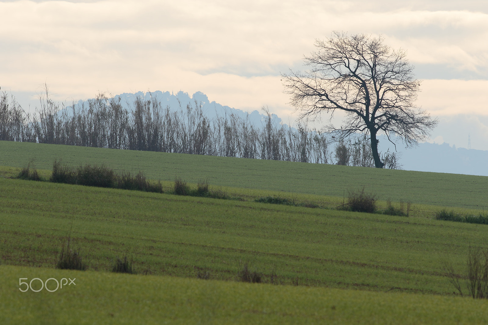 Canon EF 400mm F5.6L USM sample photo. Beyond photography