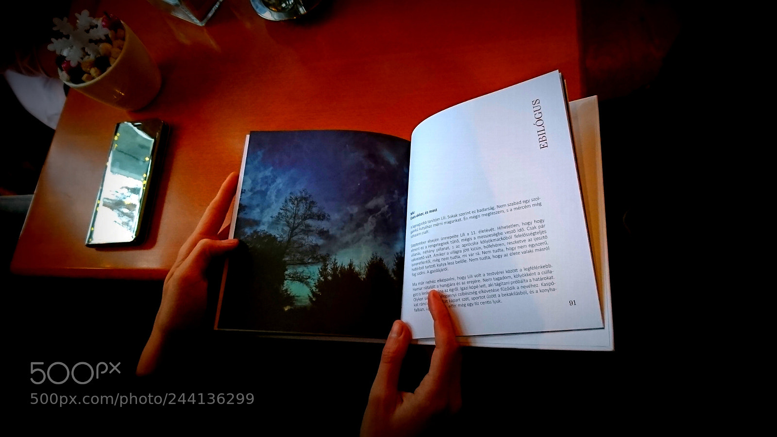 Sony Xperia XZ sample photo. Book launches photography