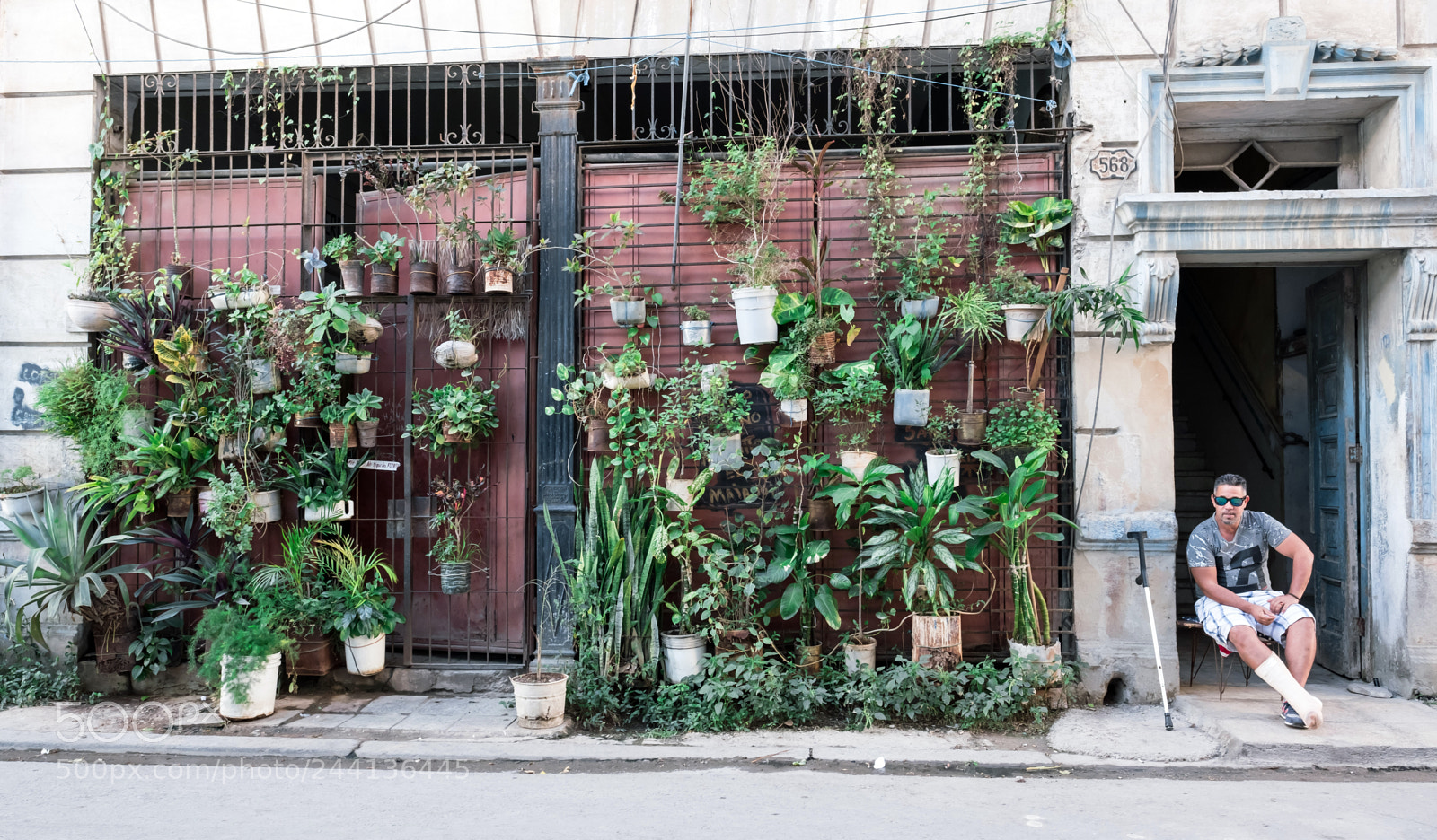 Fujifilm X-T2 sample photo. Green house photography