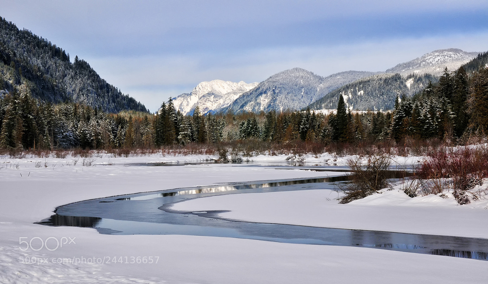 Nikon D300S sample photo. Winter beauty photography