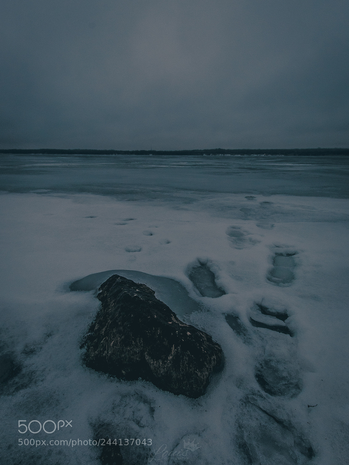 Nikon D7100 sample photo. Untitled photography