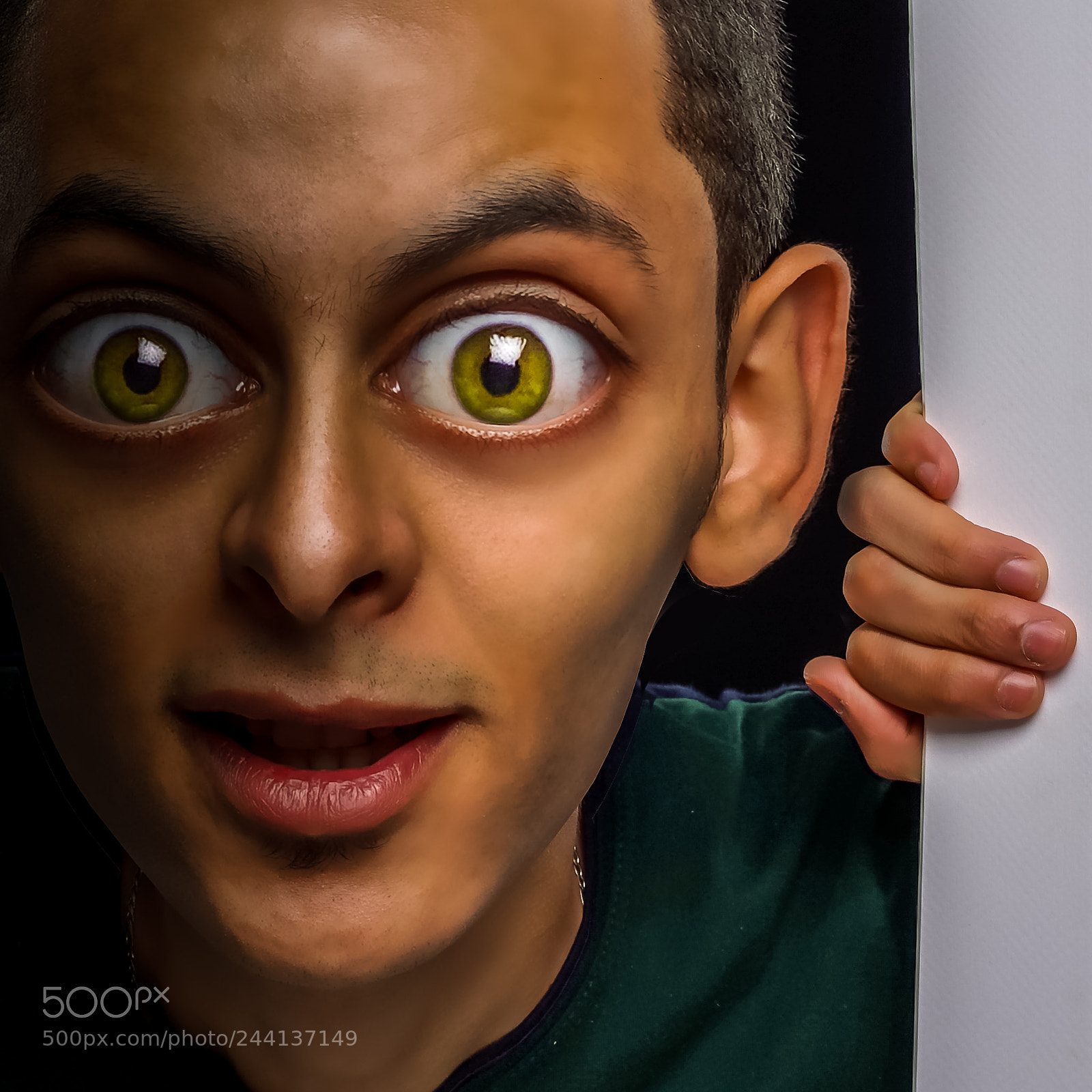Sony a7R sample photo. Caricature photography