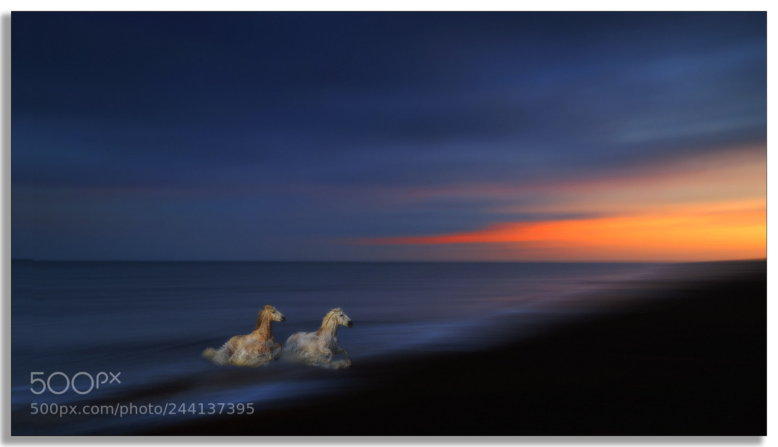 Fujifilm X-T2 sample photo. Evening dip .... photography
