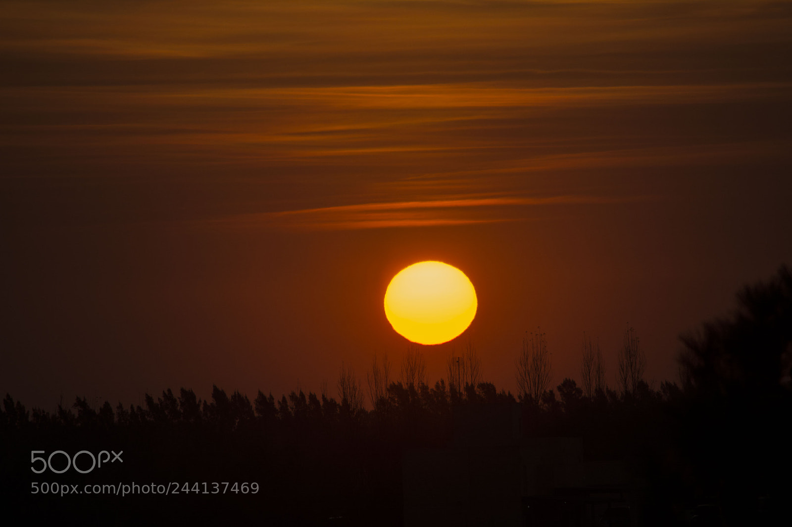 Nikon D7100 sample photo. Red sunset photography