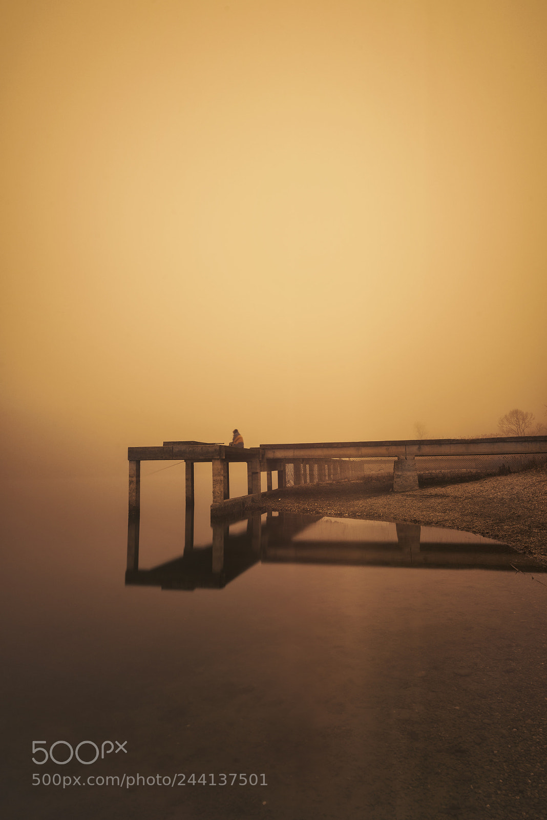 Nikon D610 sample photo. Fog on water photography