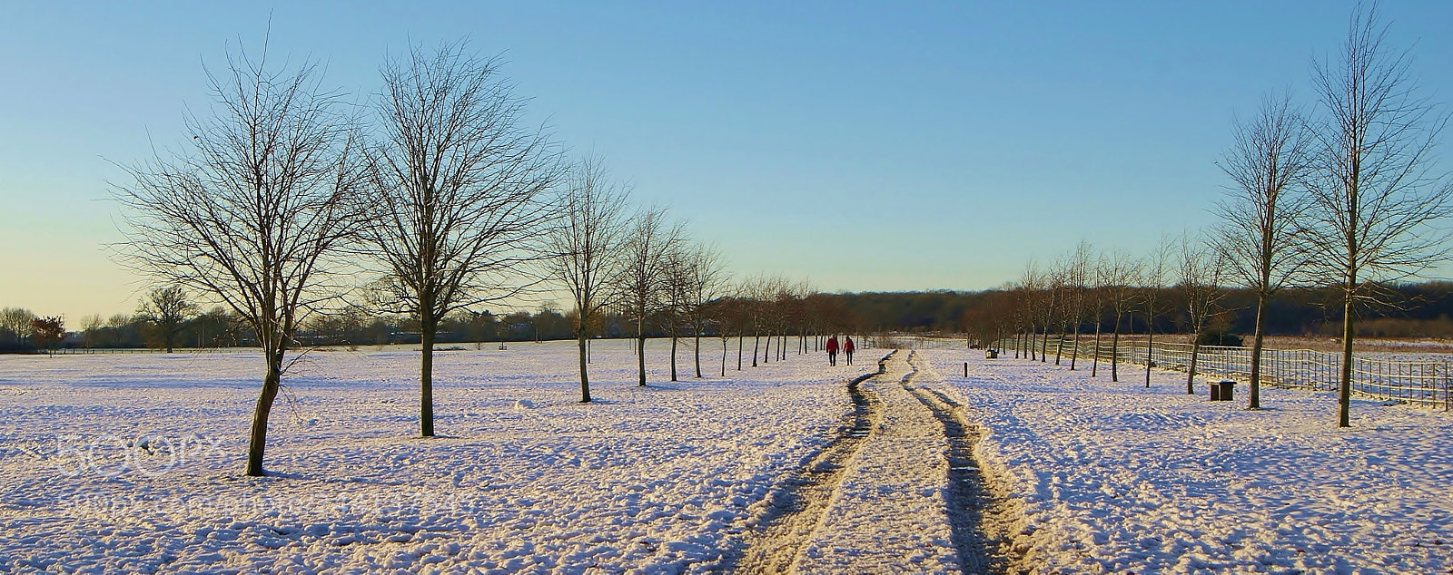 Sony Alpha DSLR-A380 sample photo. A winter sunset ... photography