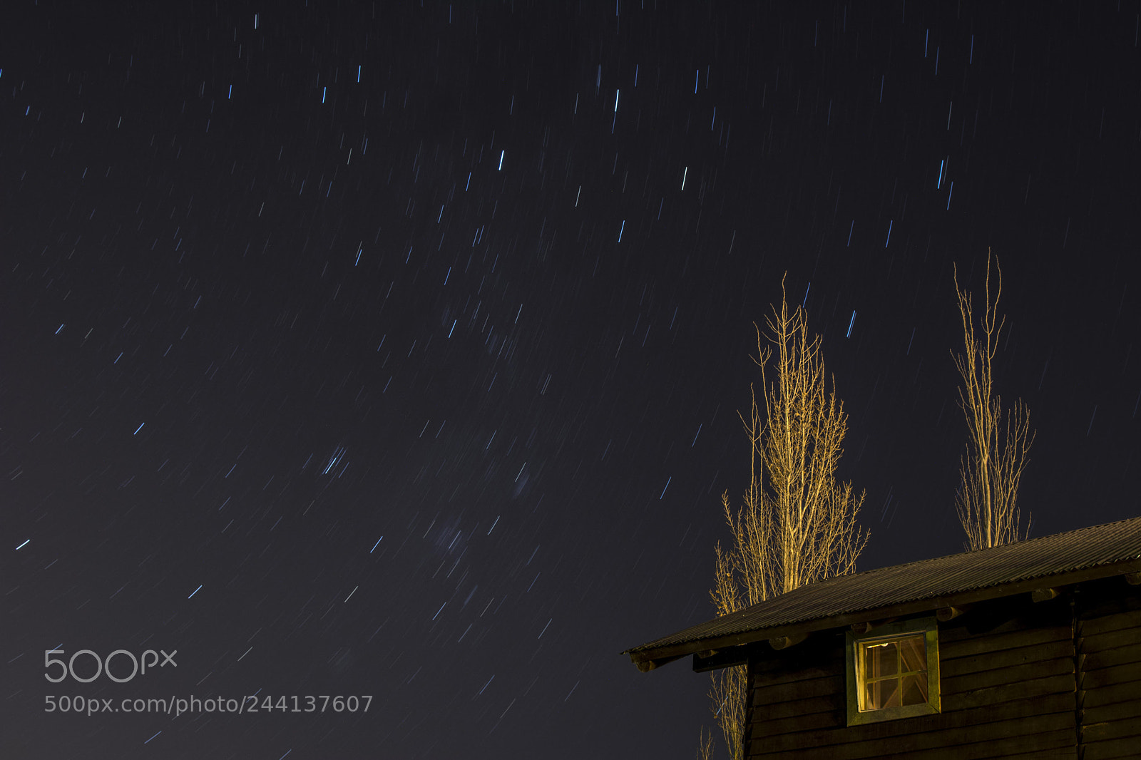 Nikon D7100 sample photo. Nightlight photography