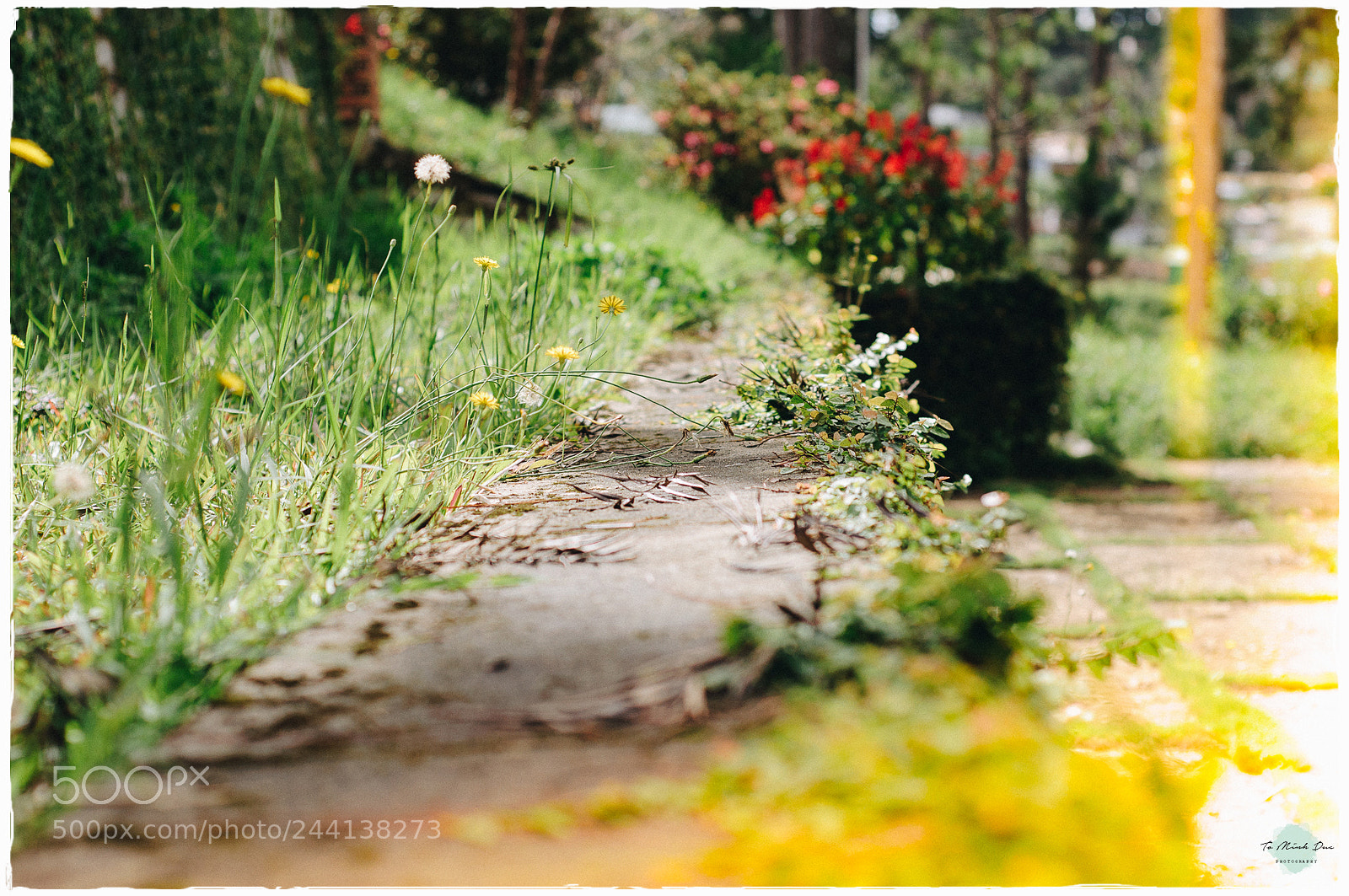 Nikon D90 sample photo. Untitled photography