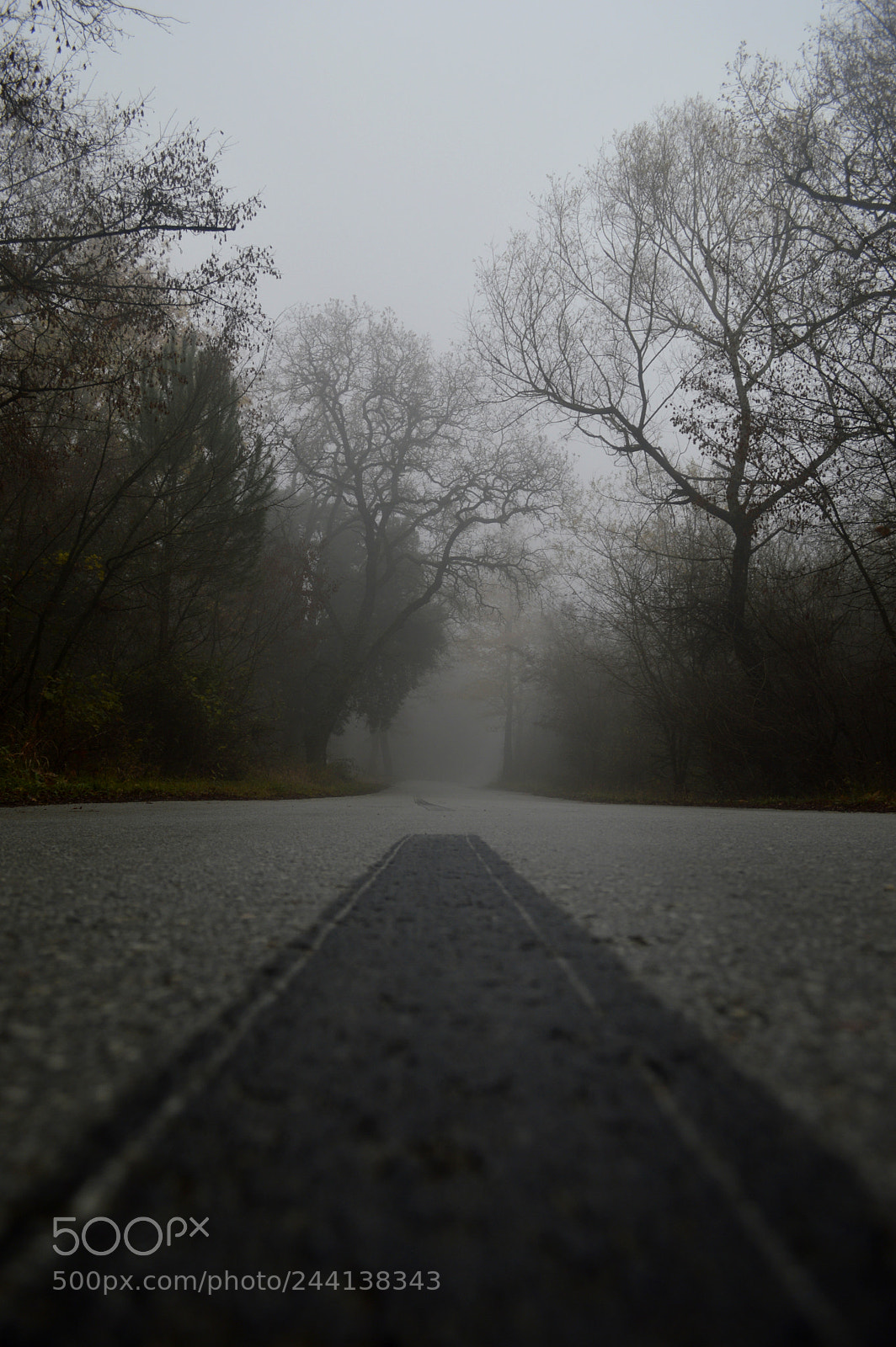 Nikon D3200 sample photo. Underlining photography
