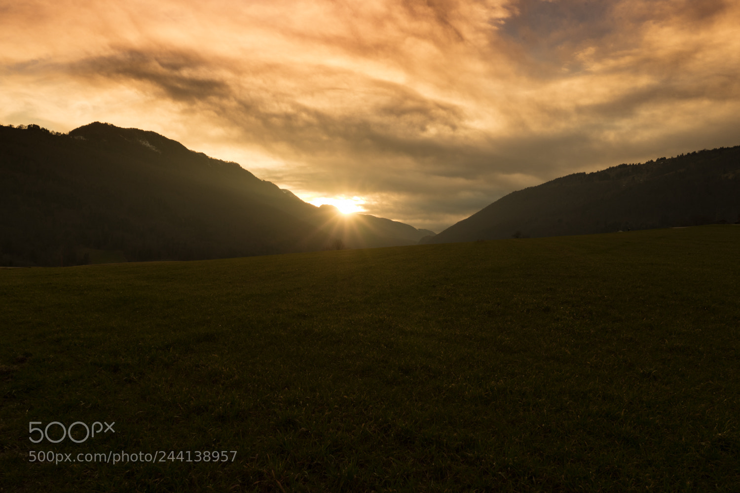 Sony a7 II sample photo. Abend im naturpark photography