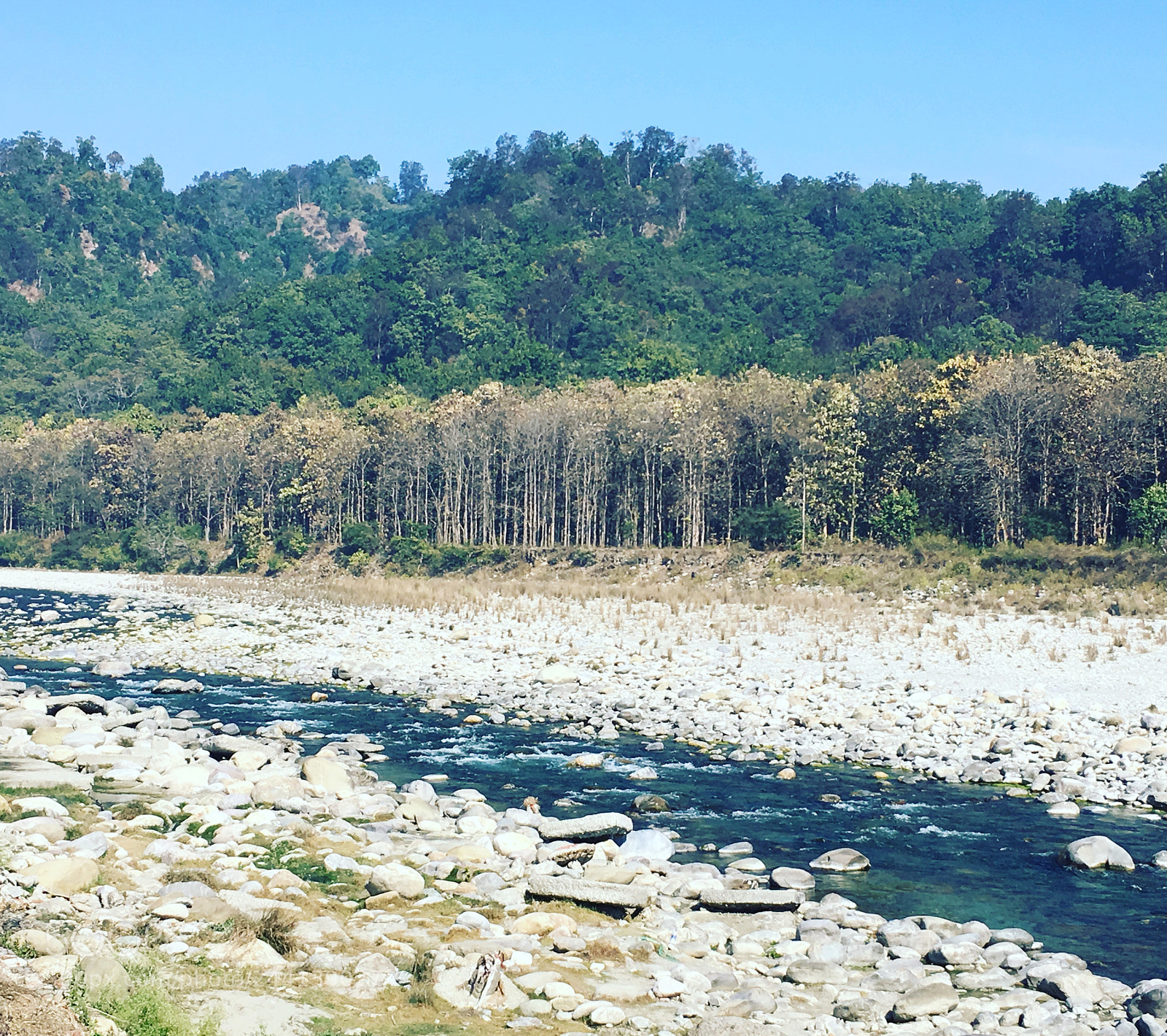 Apple iPhone 6s sample photo. Kosi river flowing through photography