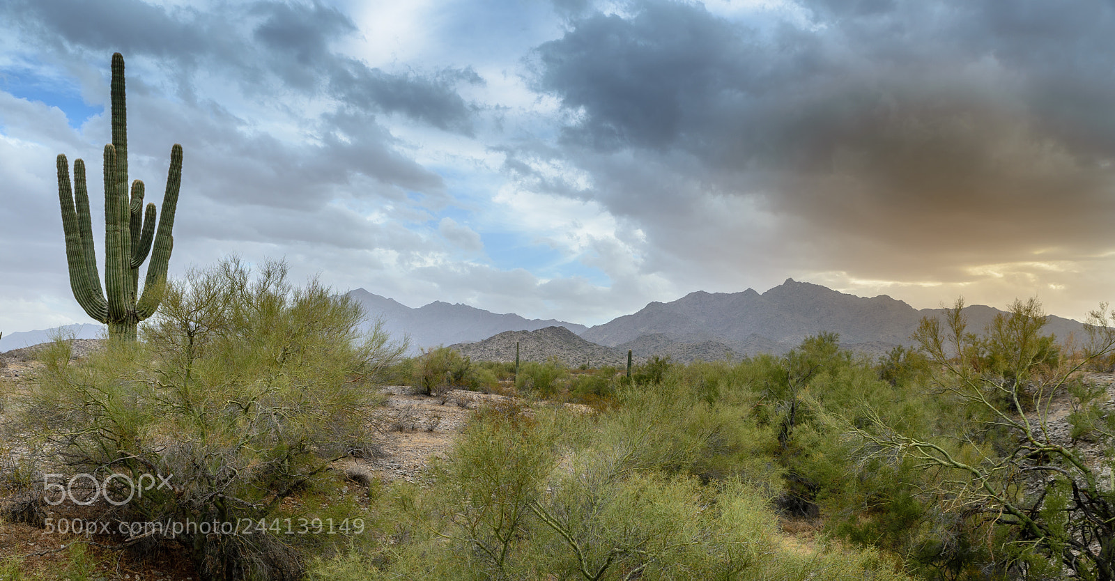 Nikon D610 sample photo. Storms is coming photography