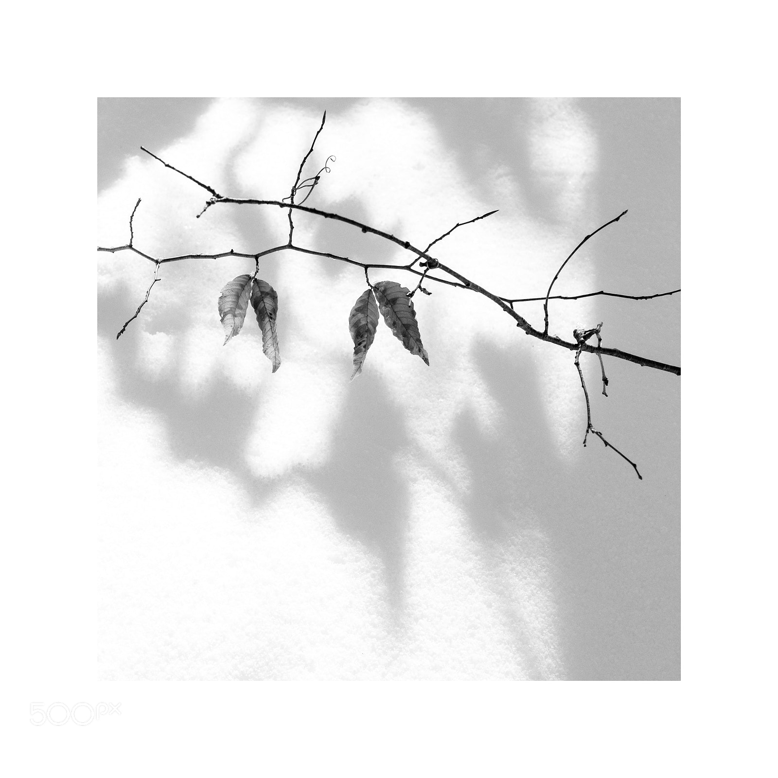 Fujifilm X-T2 sample photo. Shadows photography
