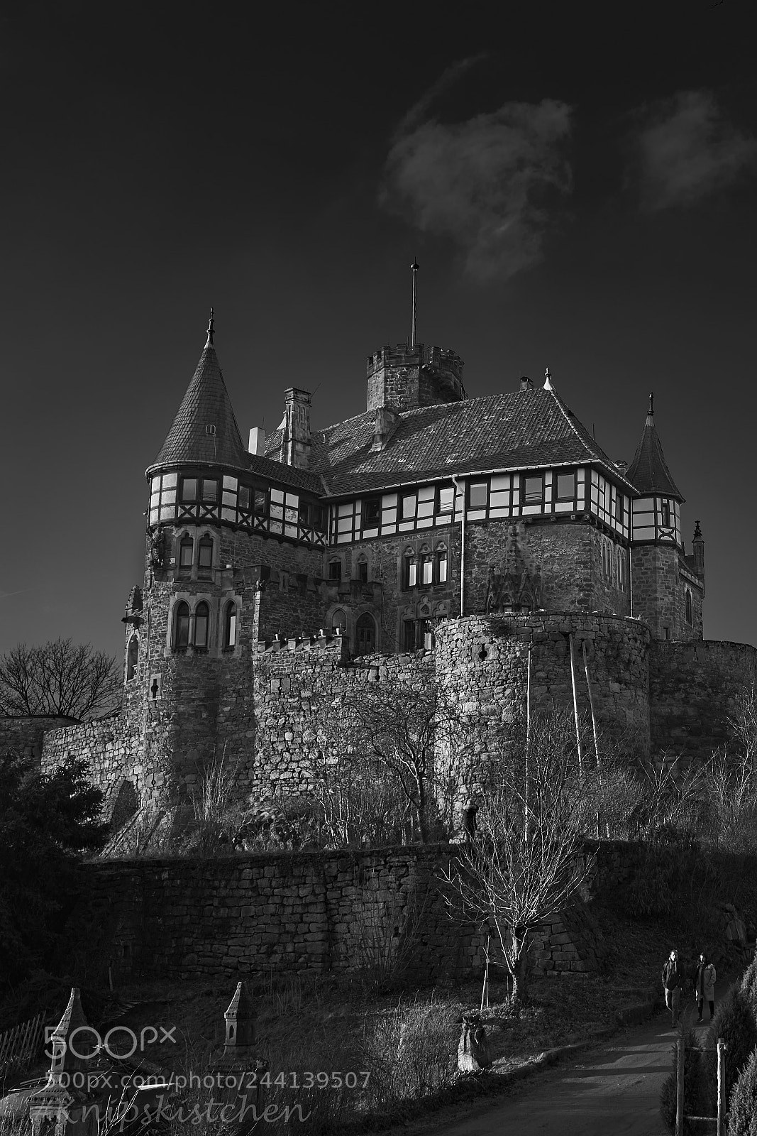 Sony a7R III sample photo. Castle on the hill photography
