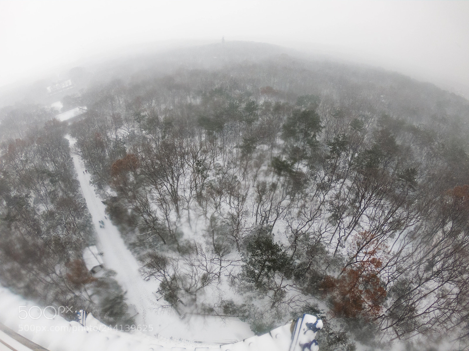 GoPro Hero6 Black sample photo. Nanjing zijin mountain photography