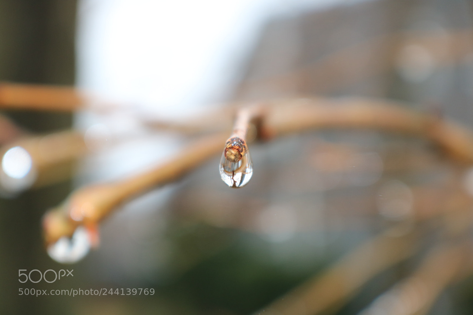 Canon EOS 750D (EOS Rebel T6i / EOS Kiss X8i) sample photo. Rainy day photography